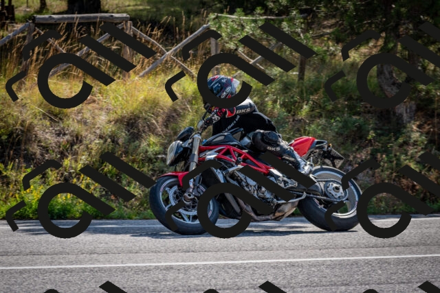 202509071018-DSC_2064_c2