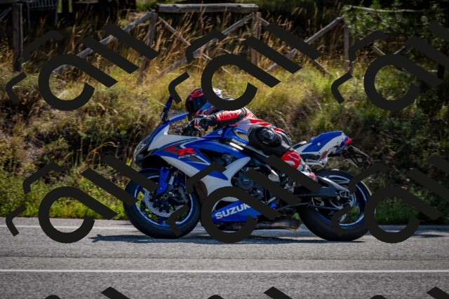 202509071018-DSC_2066_c2