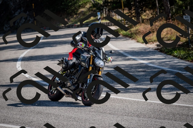 202509071019-DSC_2068_c2