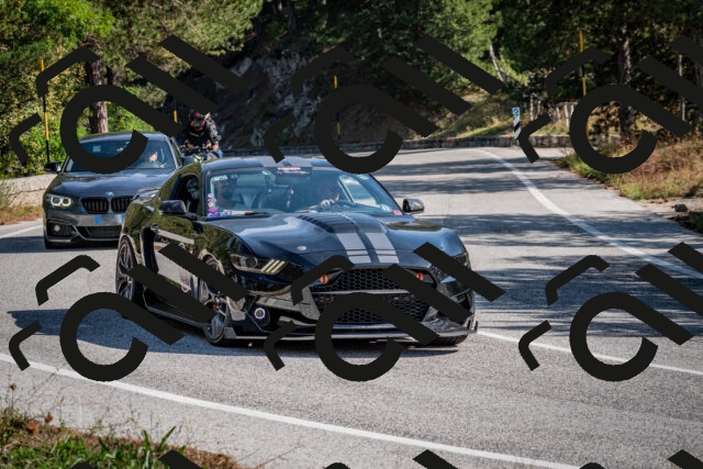 202509071025-DSC_2112_c2