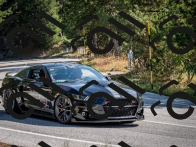 202509071025-DSC_2113_c2