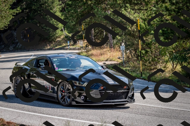 202509071025-DSC_2113_c2