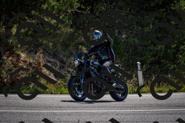 202509071028-DSC_2137_c2