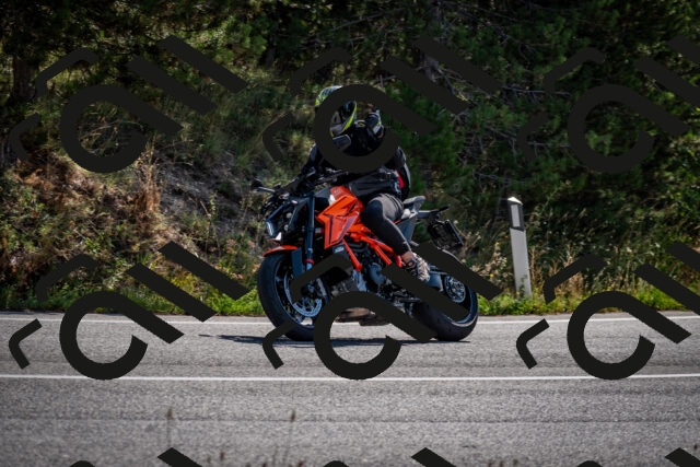 202509071028-DSC_2138_c2