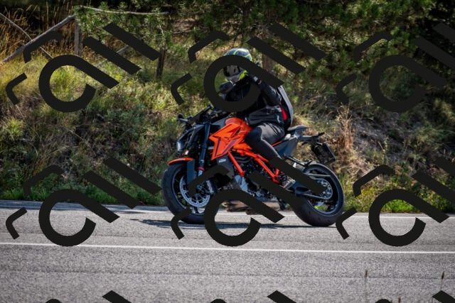 202509071028-DSC_2139_c2