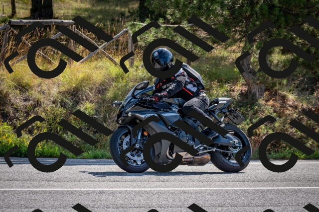 202509071028-DSC_2141_c2