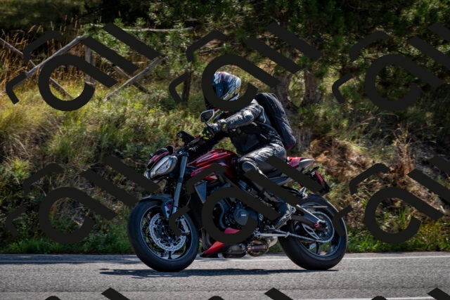 202509071028-DSC_2142_c2