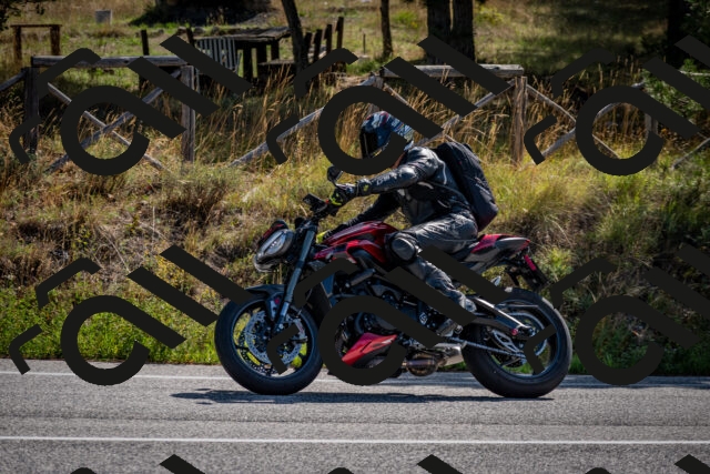 202509071028-DSC_2143_c2