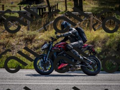 202509071028-DSC_2143_c2