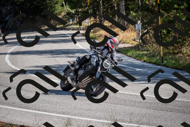 202509071029-DSC_2156_c2