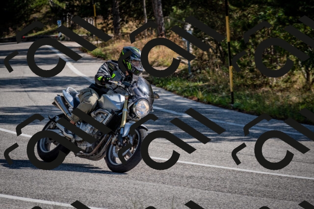 202509071029-DSC_2161_c2