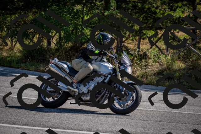 202509071029-DSC_2162_c2