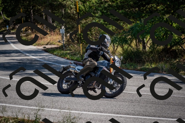 202509071029-DSC_2163_c2