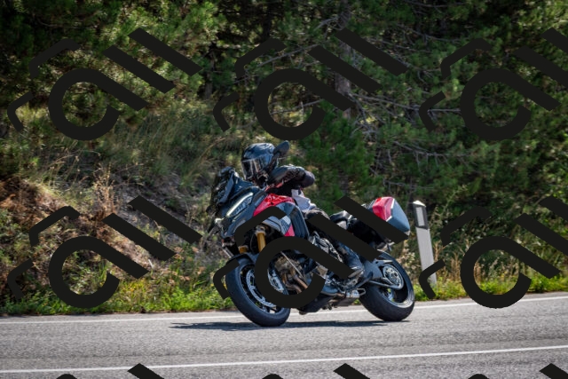 202509071029-DSC_2165_c2