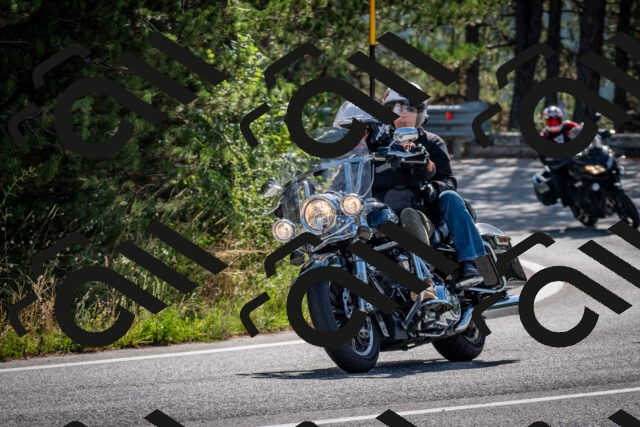 202509071029-DSC_2169_c2