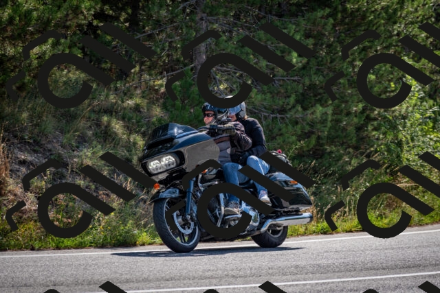 202509071029-DSC_2173_c2