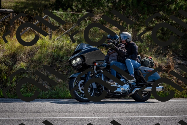 202509071029-DSC_2174_c2