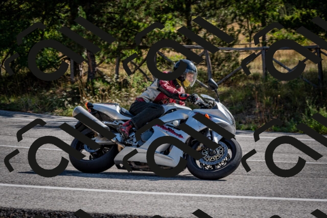 202509071030-DSC_2179_c2