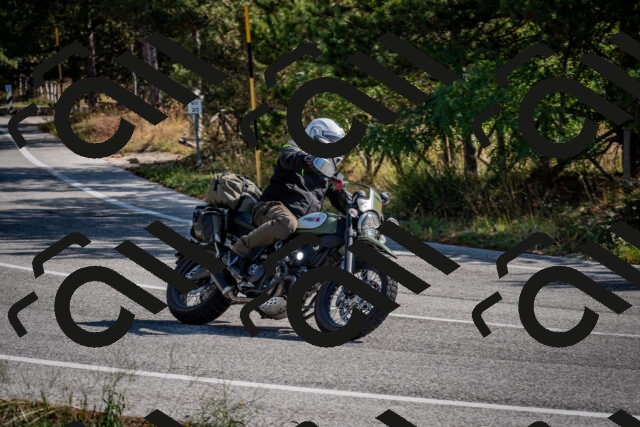 202509071030-DSC_2181_c2