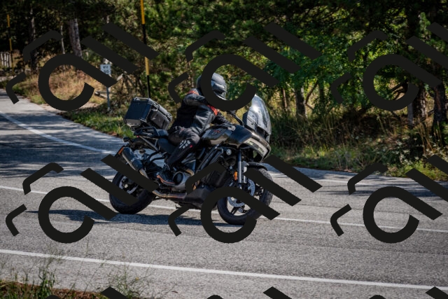 202509071030-DSC_2183_c2