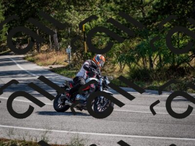 202509071030-DSC_2186_c2