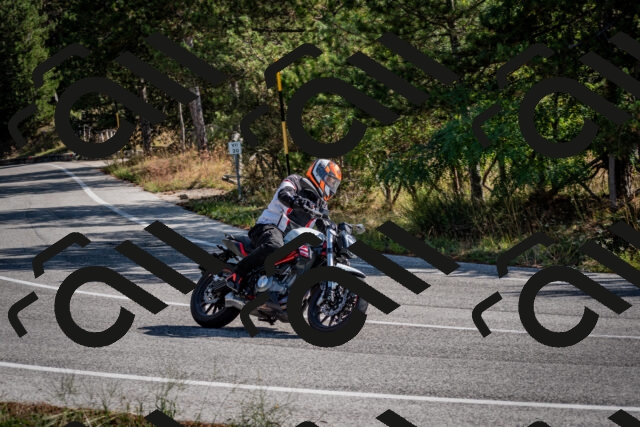 202509071030-DSC_2186_c2