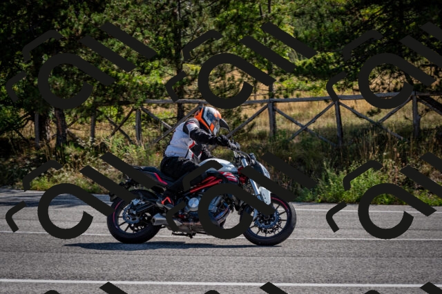 202509071030-DSC_2187_c2