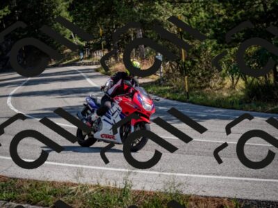 202509071030-DSC_2192_c2