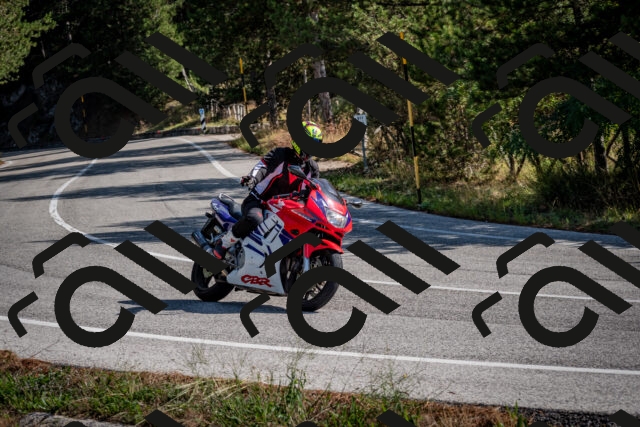 202509071030-DSC_2192_c2