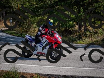 202509071030-DSC_2193_c2