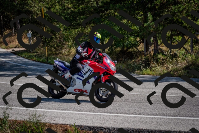 202509071030-DSC_2193_c2