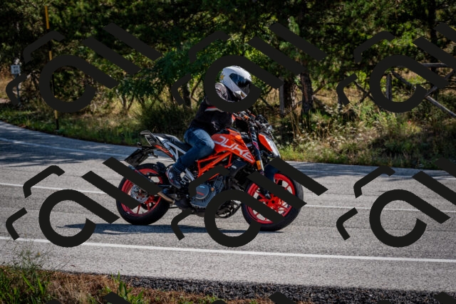 202509071030-DSC_2195_c2