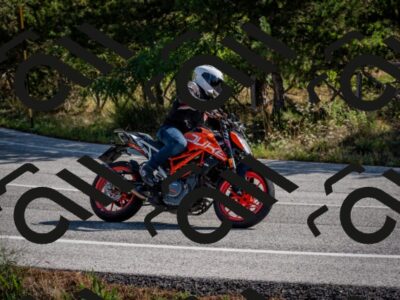 202509071030-DSC_2195_c2