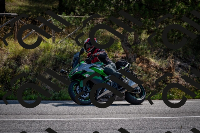 202509071031-DSC_2201_c2