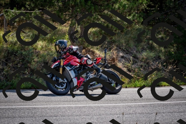 202509071031-DSC_2202_c2