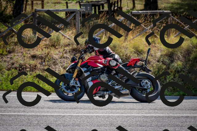 202509071031-DSC_2203_c2