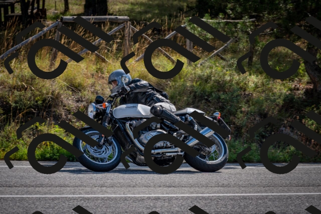 202509071031-DSC_2204_c2