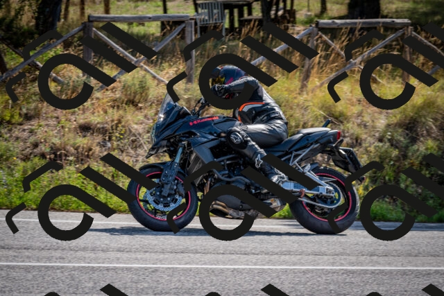 202509071031-DSC_2207_c2