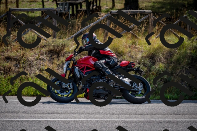 202509071031-DSC_2208_c2