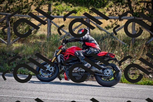 202509071031-DSC_2209_c2