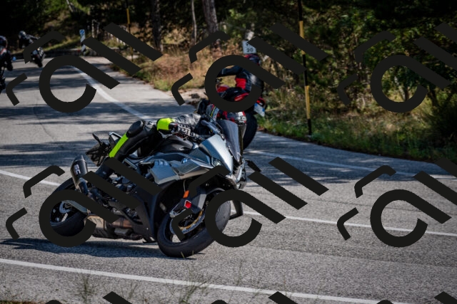 202509071031-DSC_2210_c2