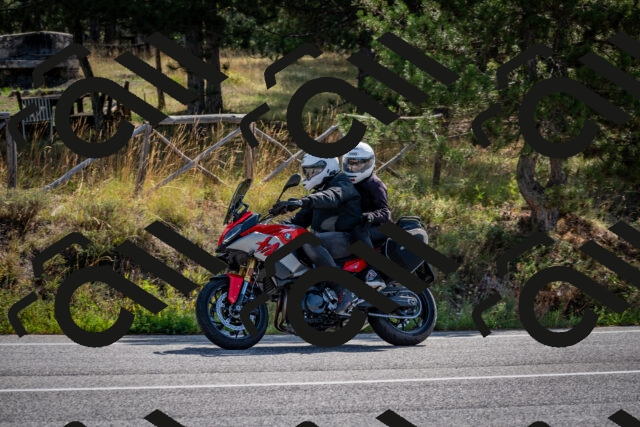 202509071031-DSC_2214_c2