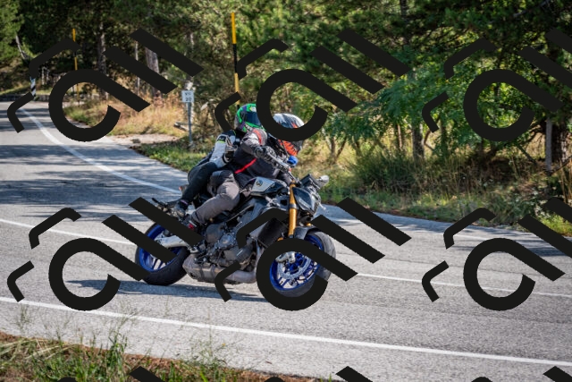 202509071032-DSC_2217_c2