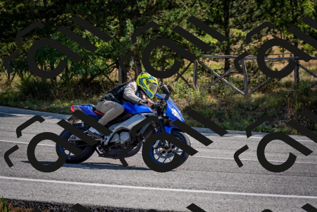 202509071032-DSC_2219_c2