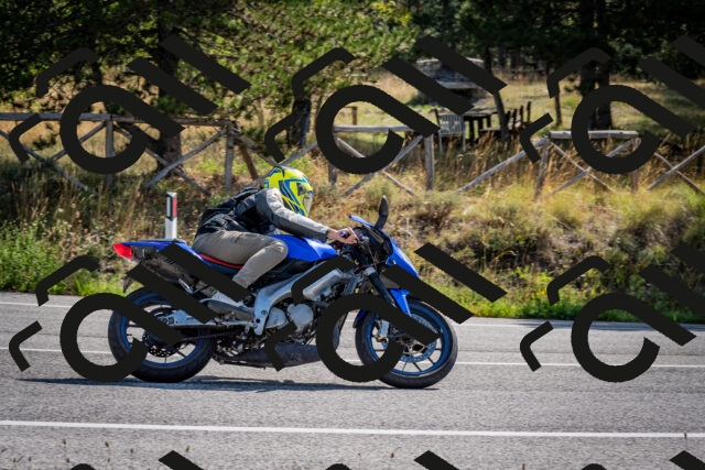 202509071032-DSC_2220_c2