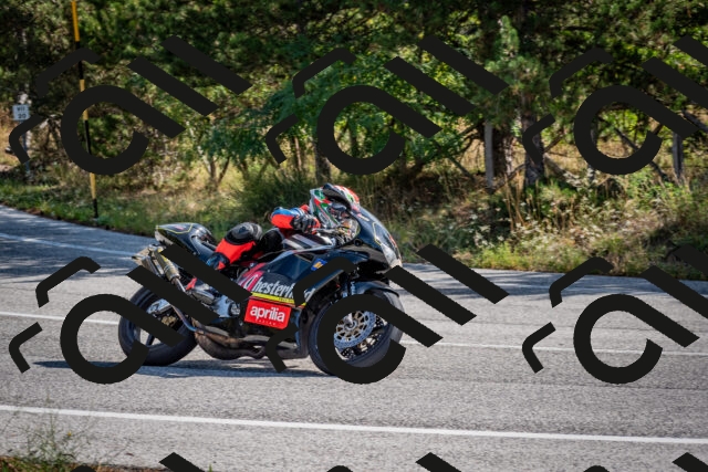 202509071032-DSC_2222_c2