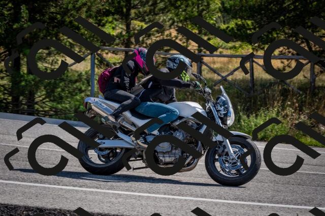 202509071032-DSC_2226_c2