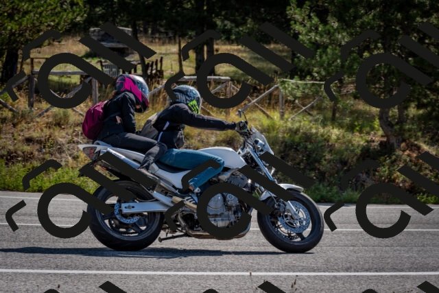 202509071032-DSC_2227_c2