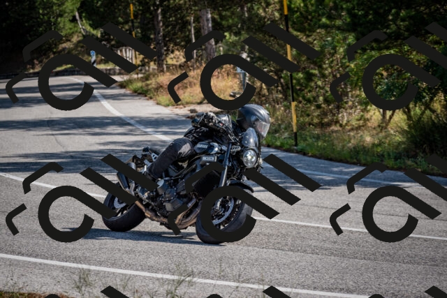 202509071033-DSC_2235_c2