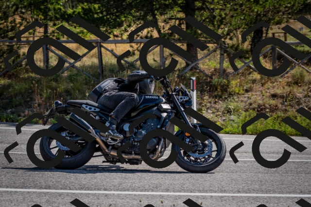 202509071033-DSC_2236_c2